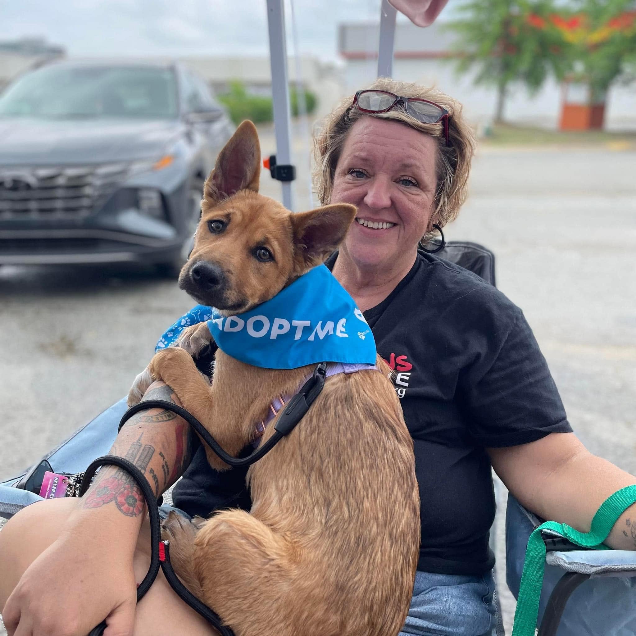 ArkanPaws rescue work in Arkansas