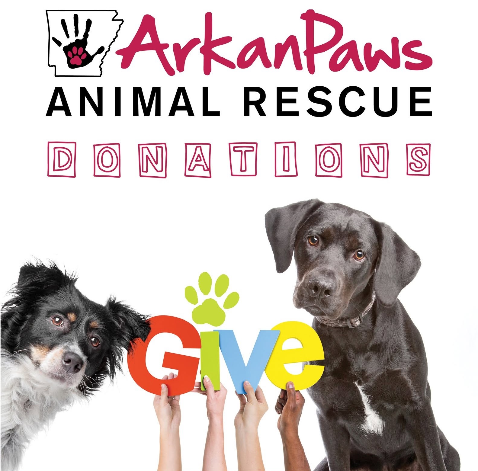 An animal cared for by ArkanPaws